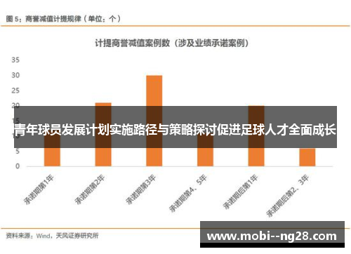 青年球员发展计划实施路径与策略探讨促进足球人才全面成长 青年球员发展计划实施路径与策略探讨促进足球人才全面成长