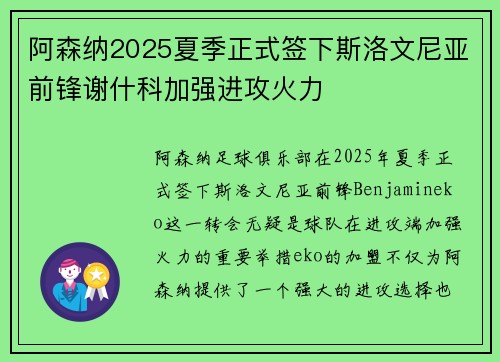 阿森纳2025夏季正式签下斯洛文尼亚前锋谢什科加强进攻火力